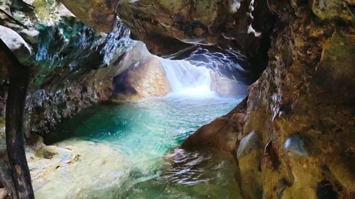 Robbers Cave Dehradun