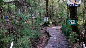 eco cave garden park nainital