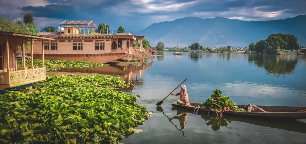 Shikara in Dal Lake, Kashmir Srinagar