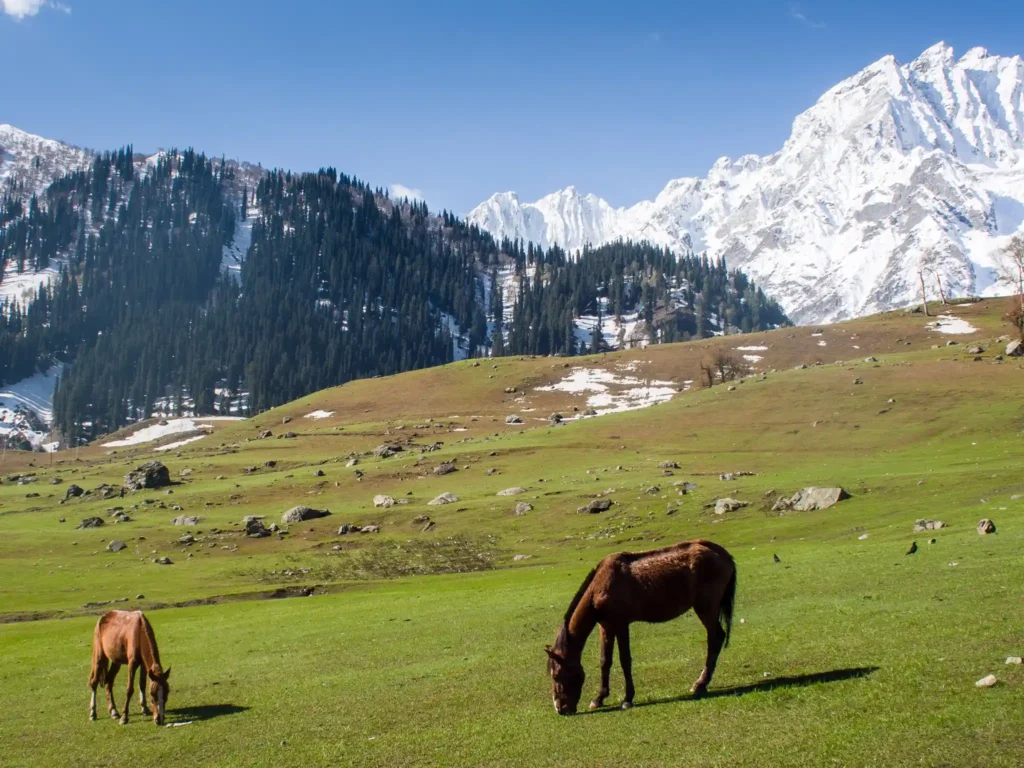 Sonamarg kashmir tourist place